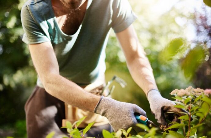 Przegląd wiosennych prac ogrodowych: co zrobić przed końcem sezonu