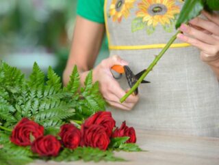 Jak zapewnić długotrwałe i piękne kwitnienie róż? Skuteczne metody pielęgnacji róż w celu przedłużenia ich okresu kwitnienia