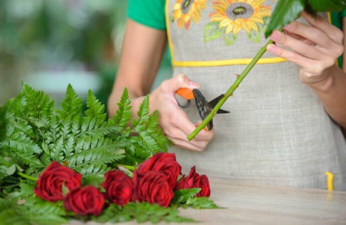 Jak zapewnić długotrwałe i piękne kwitnienie róż? Skuteczne metody pielęgnacji róż w celu przedłużenia ich okresu kwitnienia