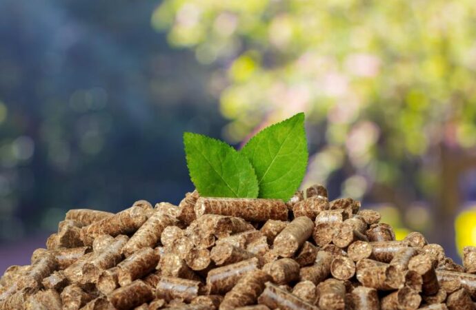 Energetyczne zastosowanie biomasy w wytwarzaniu prądu i ciepła
