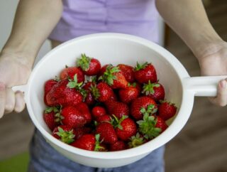 Nawozy organiczne do pielęgnacji truskawek: jak poprawić soczystość i jakość owoców